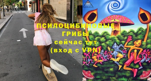 гашик Армянск