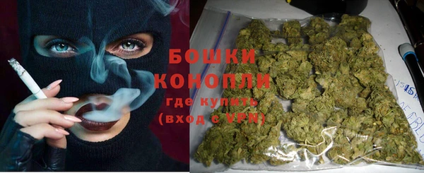 ешки Аркадак